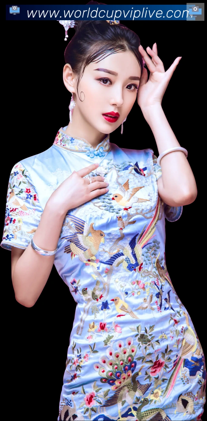 奖项证书